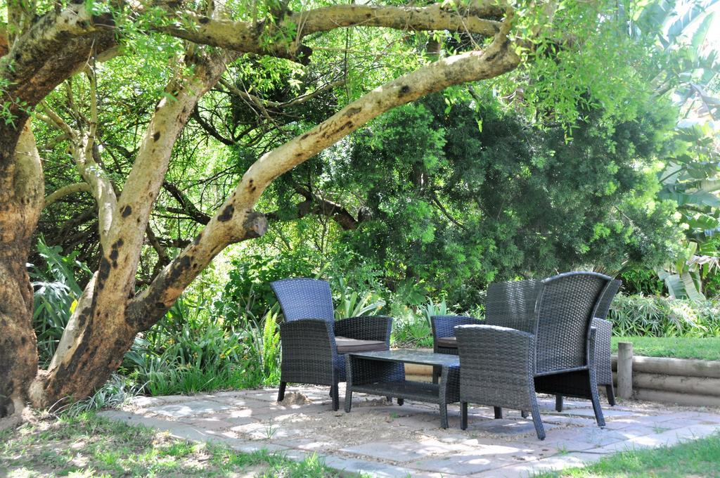 Umlambo River Lodge Kirkwood Exterior photo